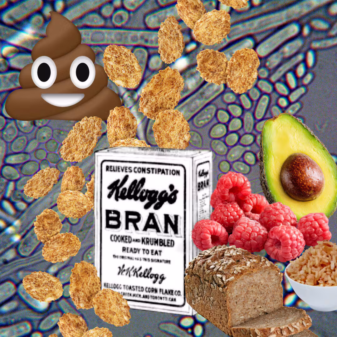 40e2226c3515505bab70c5f476612e8b